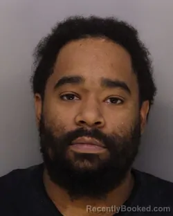 Mugshot of JOHNELL AMISON