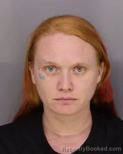 Mugshot of JESSICA CROOKS