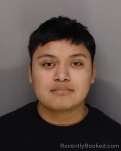 Mugshot of PABLO MENDEZ