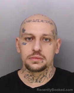 Mugshot of JESSEY HAMMONDS