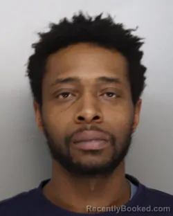 Mugshot of GARY GROSS