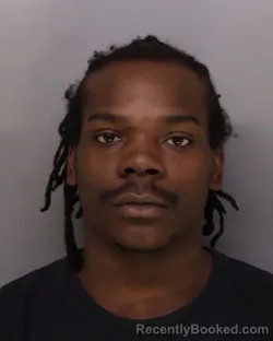 Mugshot of ALLERRION PAYNE