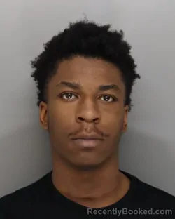 Mugshot of TERRANCE SESSIONS