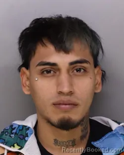 Mugshot of VICTOR CASTILLO