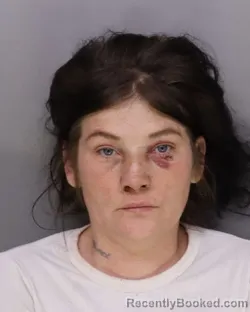 Mugshot of TRACI STEWART