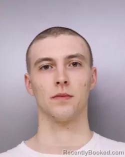 Mugshot of LUKE NEWTON