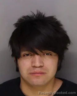 Mugshot of WILMER CASTAMO