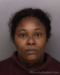 Mugshot of SARA HALL