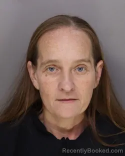 Mugshot of BRANDY ARNOLD