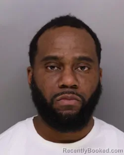 Mugshot of BRALYN ROSS