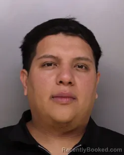 Mugshot of GERSAY BERRIOS