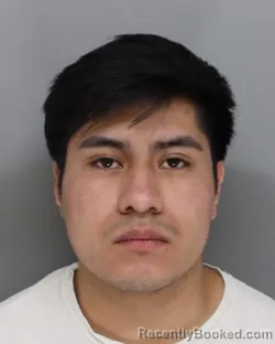 Mugshot of ALEX TEMOXTLE