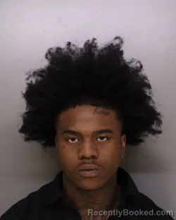 Mugshot of WILLIAM MARTIN