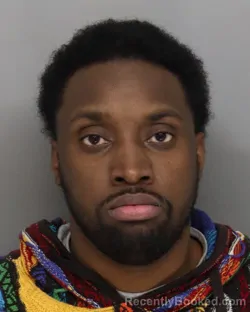 Mugshot of MALIK WILLIAMS