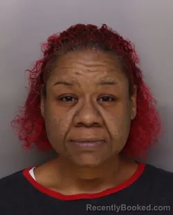 Mugshot of MELISSA SMITH