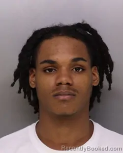 Mugshot of TORIAN BORDERS