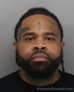 Mugshot of TERRENCE NEWELL