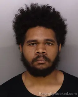 Mugshot of JAHI BROWN booked in Hamilton County, Ohio on March 4, 2026