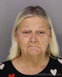 Mugshot of SHIRLEY HOLLON booked in Hamilton County, Ohio on March 5, 2026