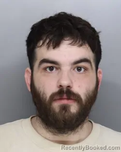 Mugshot of DYLAN PERKINS booked in Hamilton County, Ohio on March 5, 2026