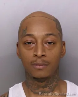 Mugshot of DONNIE STOLLINGS