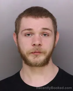 Mugshot of MICHAEL MEECE