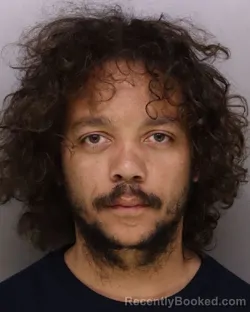 Mugshot of TREMAYNE TURNER