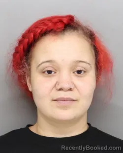 Mugshot of BRIANNA SINGLETON booked in Hamilton County, Ohio on March 11, 2026