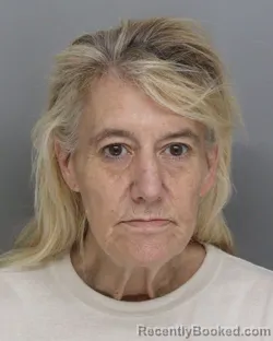 Mugshot of Cheryl Clark booked in Hamilton County, Ohio on August 1, 2026
