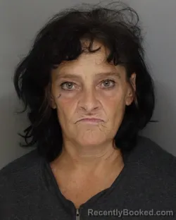 Mugshot of Julie Mcgowan booked in Hamilton County, Ohio on September 22, 2026