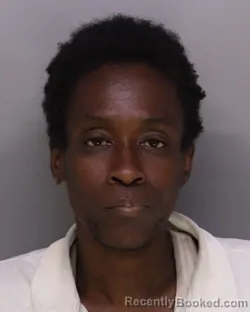 Mugshot of SHANELL CAINE booked in Hamilton County, Ohio on July 17, 2026