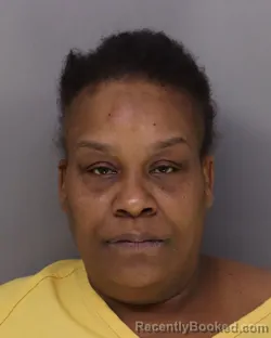 Mugshot of ANTOINETTE LOWE booked in Hamilton County, Ohio on March 21, 2026