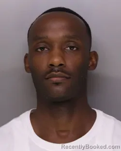 Mugshot of Ali Akbar