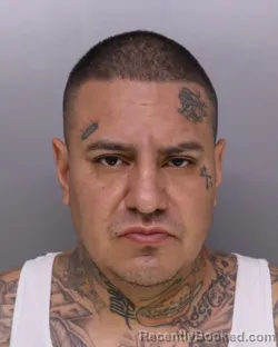 Mugshot of GABRIEL KRULL booked in Hamilton County, Ohio on March 15, 2026