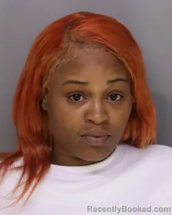 Mugshot of DARNASIA MCKINNEY