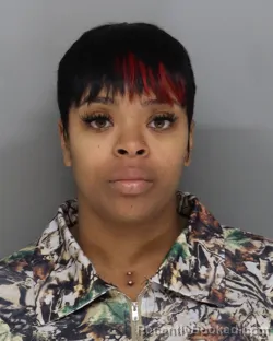 Mugshot of BRIGET STEELE booked in Hamilton County, Ohio on March 31, 2026