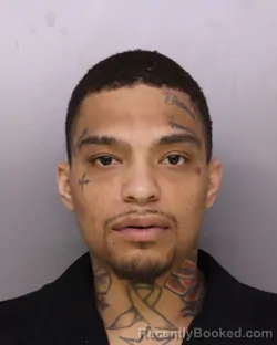 Mugshot of PEREZ ESTRADA booked in Hamilton County, Ohio on March 22, 2026