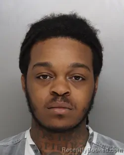 Mugshot of RICHARD WILLIAMS-MOORE