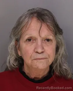 Mugshot of DEBORAH ROY booked in Hamilton County, Ohio on March 30, 2026