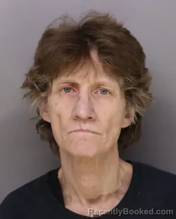 Mugshot of LESLIE SANDERS booked in Hamilton County, Ohio on March 21, 2026