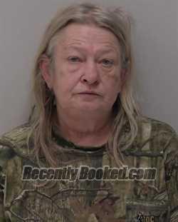 Booking photo from Hancock County, Ohio