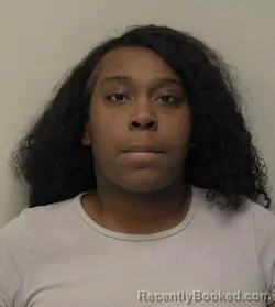 Mugshot of Robyn Lynne Johnson