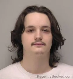 Booking photo from Hancock County, Ohio