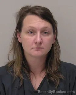 Booking photo from Hancock County, Ohio