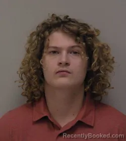 Booking photo from Hancock County, Ohio