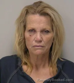 Mugshot of Teresa Dianne Tyrrell