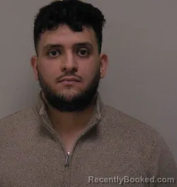 Mugshot of Abdelrahman Ahmed Mowafy Ahmed Hussein