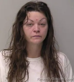 Mugshot of Ashlee Carin Perry