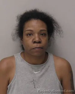 Mugshot of Chashauna Lynne James booked in Hancock County, Ohio on March 26, 2026