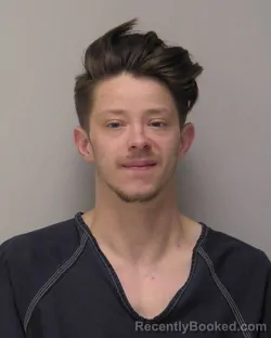 Mugshot of JEFFERY ALBERT Junior JOHNSTON booked in Hancock County, Ohio on March 29, 2026